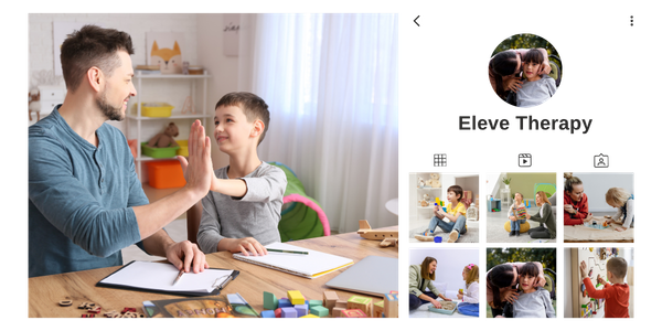 eleve therapy1